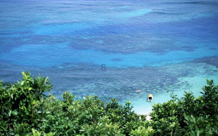 韦东奕再次“走红”，他的一举一动为何备受关注？